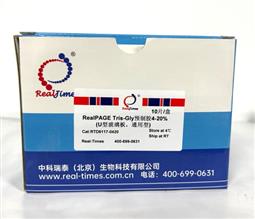 10%RealPAGE Tris-Glycine預(yù)制膠（塑料板） 15孔