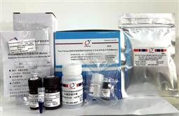 Tris-Tricine-SDS-PAGE凝膠快速制備及電泳試劑盒（含預(yù)染Marker）