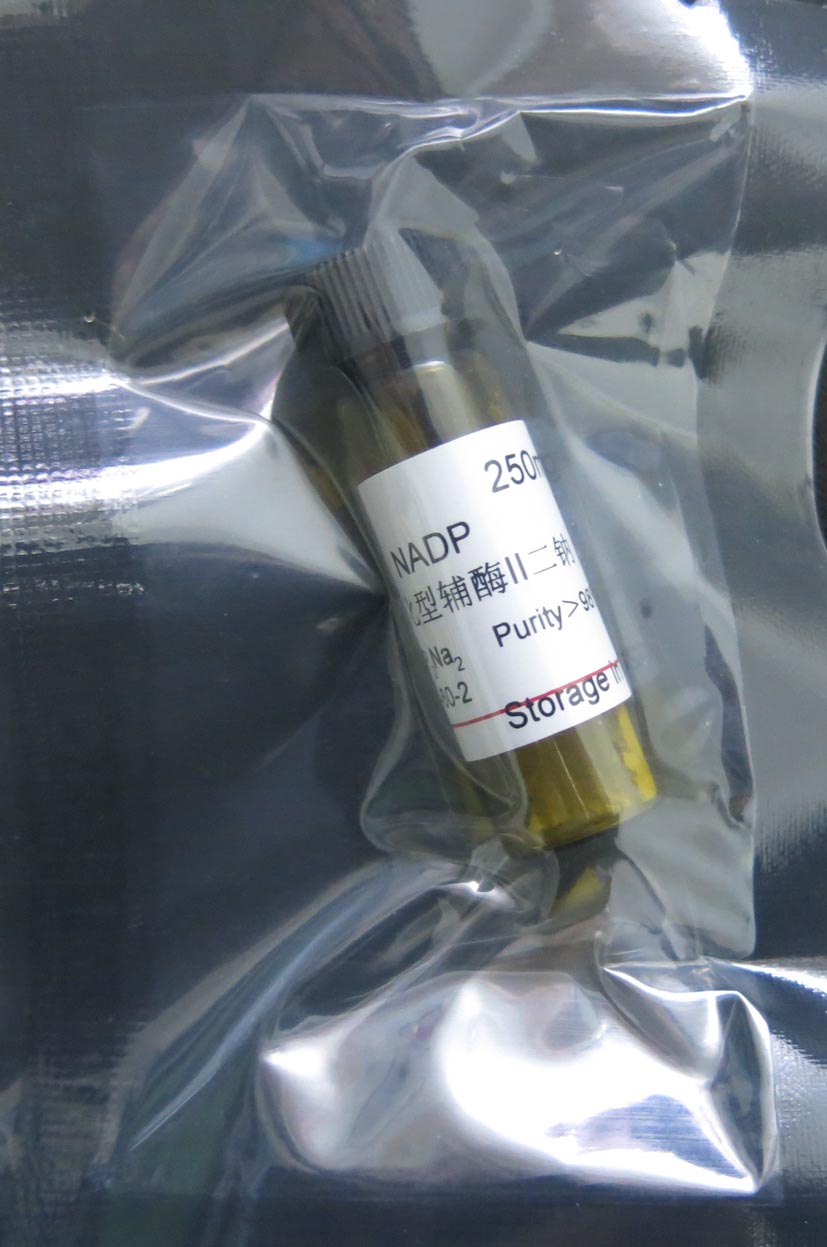 NADP 氧化型輔酶II