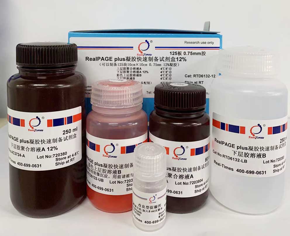 RealPAGE 彩色PAGE凝膠快速制備試劑盒(兩步法)15%